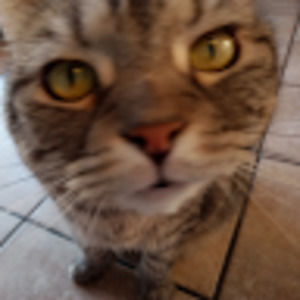 Meet your Posher, Marie-claude